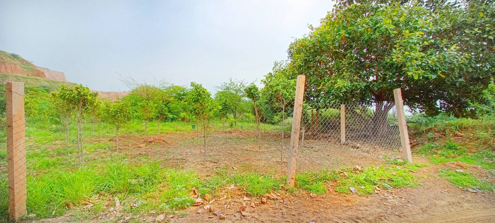 Charkhi Dadri mine site